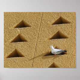 Poster Peaceful Pigeon