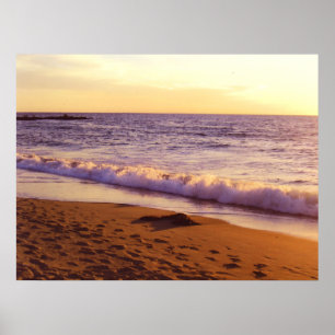 Poster Peaceful_Poster