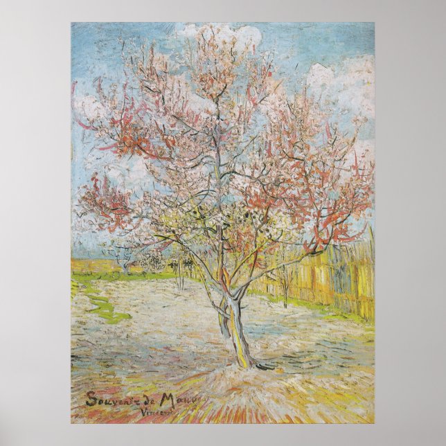 Póster Peach Tree in Bloom at Arles (Frente)