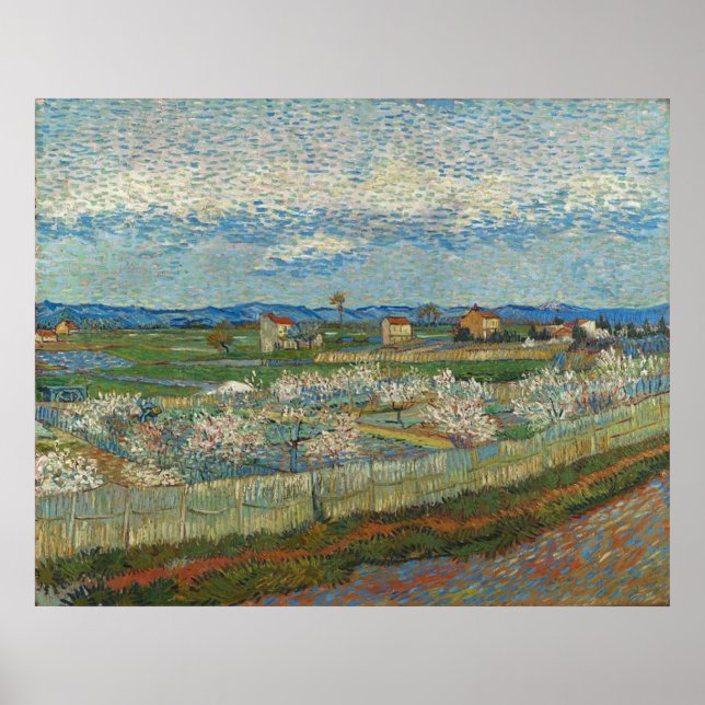Poster Peach Trees in Blossom por Van Gogh (Frente)