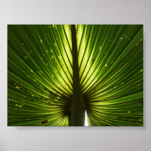 Poster "Peacock"