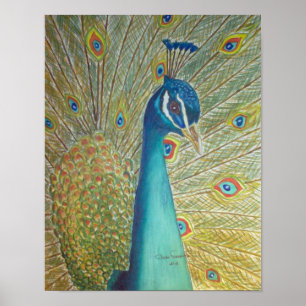 Póster Peacock