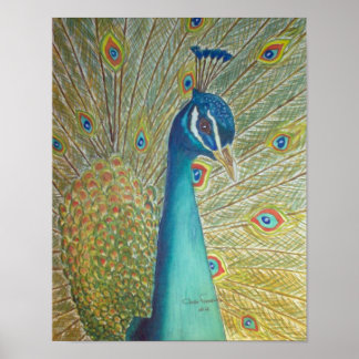 Póster Peacock