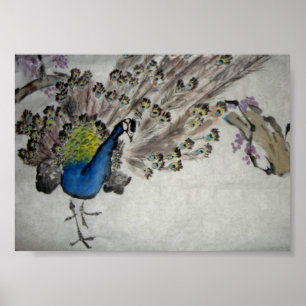 Poster Peacock