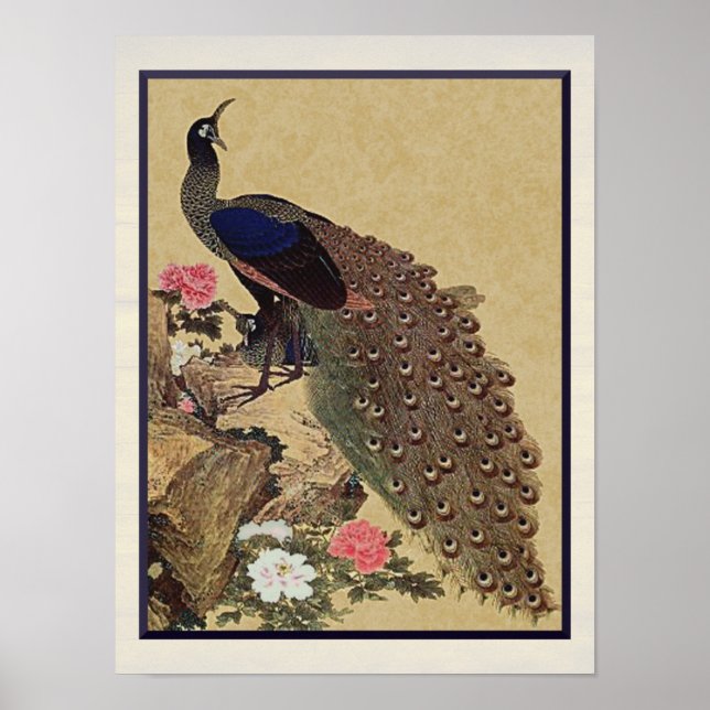 Poster Peacock e Peonies Vintage (Frente)
