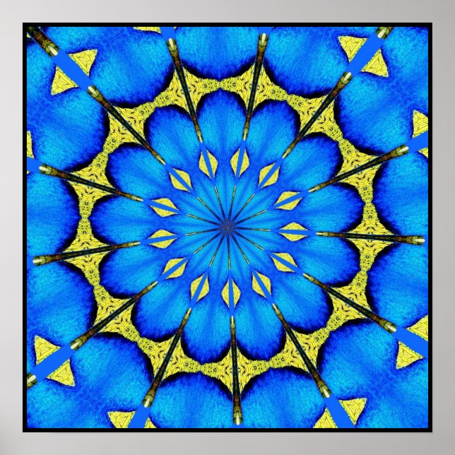 Póster Peacock Feather Caleidoscópio 4 (Frente)