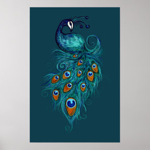 Poster Peacock Feather Teal Peacocks