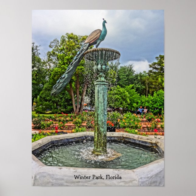 Poster Peacock Fountain & Rosa Garden no Winter Park FL (Frente)