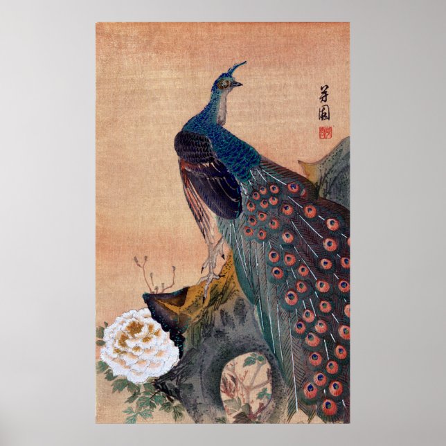 Póster Peacock japonês n.o 1 (Frente)