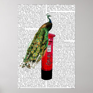 Póster Peacock on Postbox