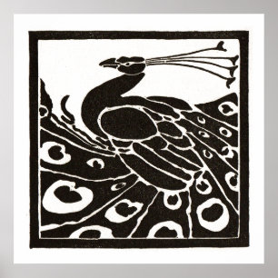 POSTER PEACOCK PRETO E BRANCO