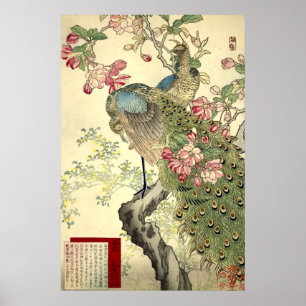 Poster Peacocks & Crabapple Vintage Japonês
