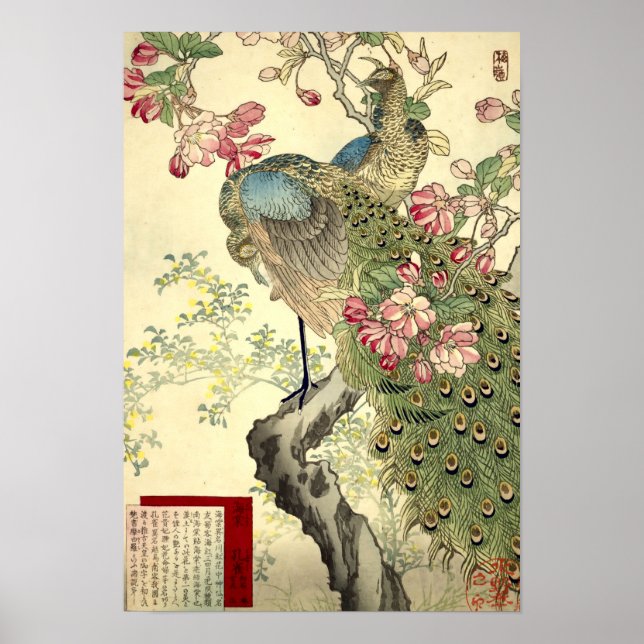 Poster Peacocks & Crabapple Vintage Japonês (Frente)