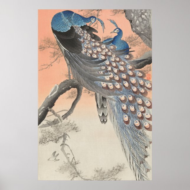 Poster Peacocks Japoneses Vintage na Ramificação da Árvor (Frente)