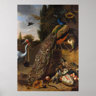 Póster Peacocks - Melchior d' Hondecoeter