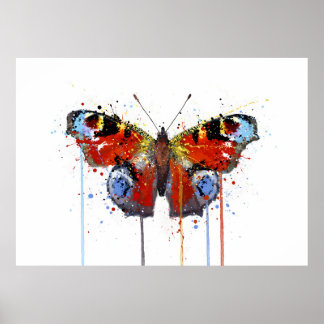 Poster Peacook Butterfly