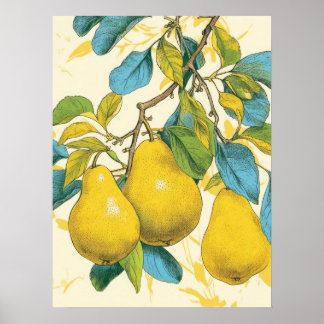 Poster Pear ouro