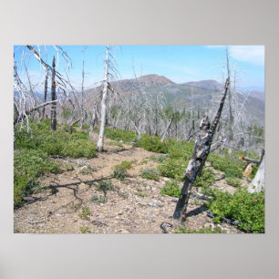 Póster Pearsoll Peak Fire Lookout Kalmiopsis Wilderness