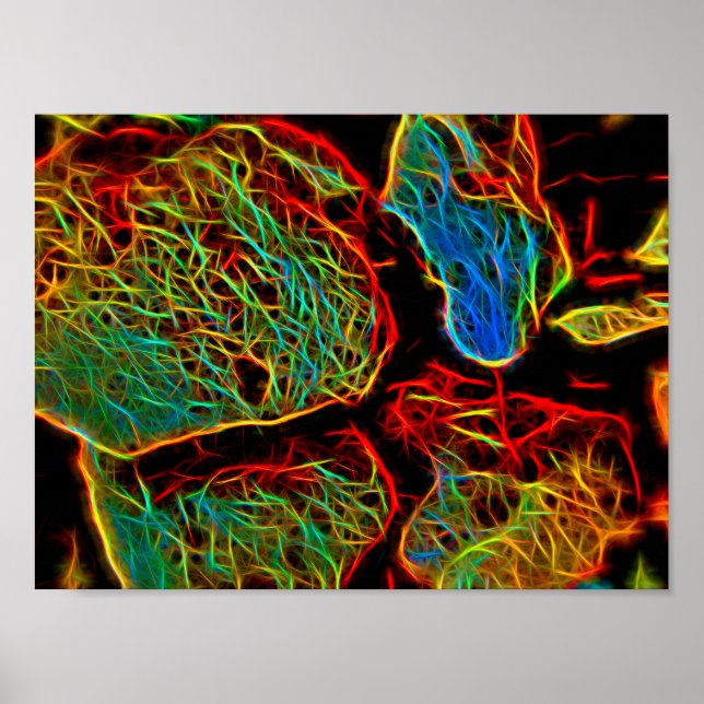 Poster Pebolhas pintadas de neon (Frente)