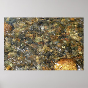 Poster Pebolhas Vestidas no rio Castanho e Abstrato natur