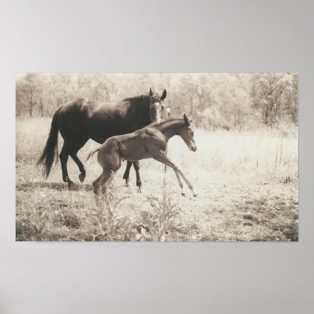 Poster Peças Pontas (Frente)