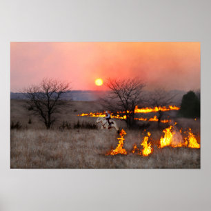 Póster Pecuarista do Kansas Verifica Linha de Incêndio