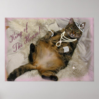 POSTER PEDAÇO DE GATO DE PRINCESA COLHIDO DE VOLTA