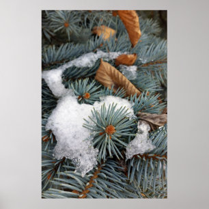 Póster pedaço de neve