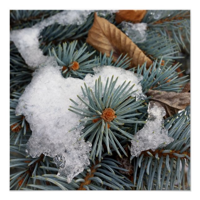 Póster pedaço de neve (Frente)