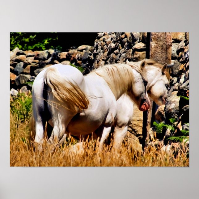 POSTER PEDAÇOS (Frente)