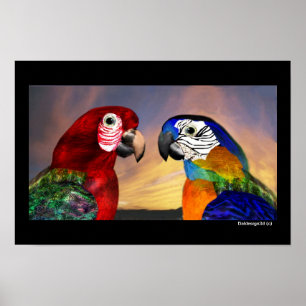 POSTER PEDAÇOS HÍPIDOS / ARA VERMELHA E AZUL