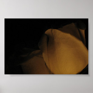 Poster Pedais de um rosa