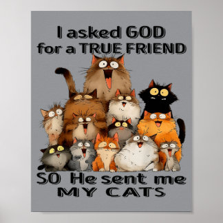 Poster Pedi a Deus um verdadeiro amigo Ele mandou o gatin