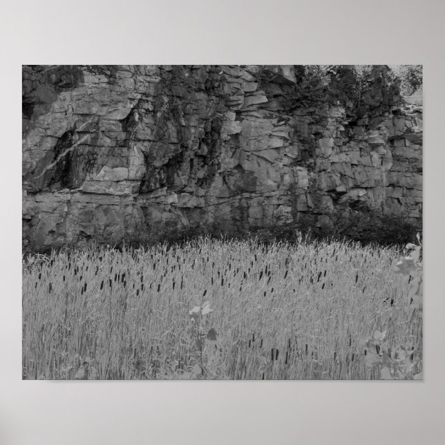 Póster Pedra Pedreira Muro Cattails 1 Preto e Branco (Frente)