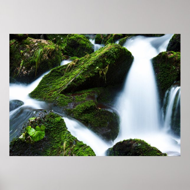 Póster Pedra verde-cascata (Frente)