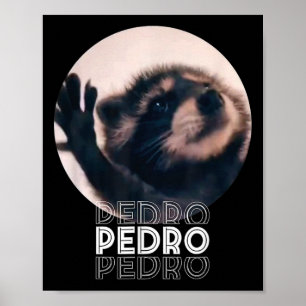Poster Pedro Racoon Dance Popular Internet Memache D