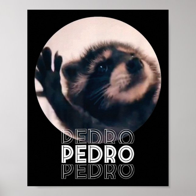 Poster Pedro Racoon Dance Popular Internet Memache D (Frente)