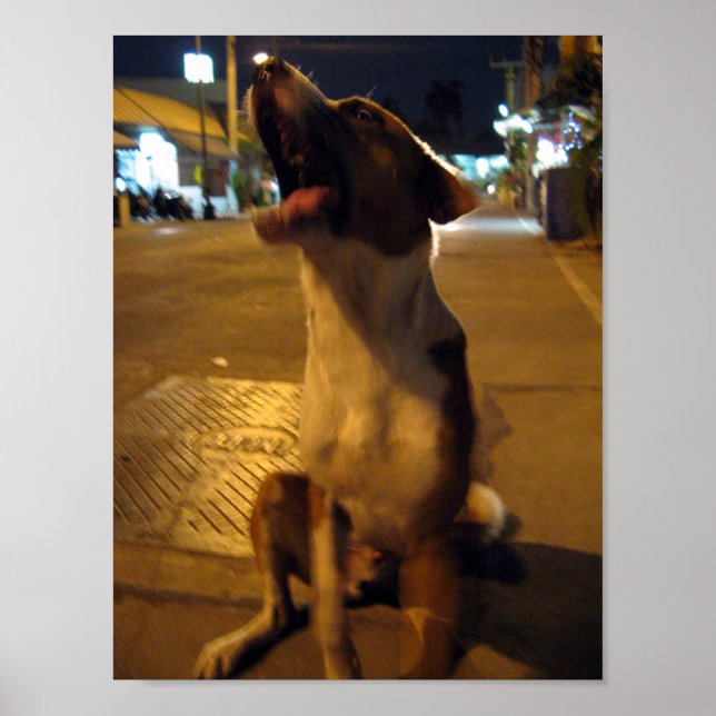 Póster Pee Mai... Soi Dog, Tailândia (Frente)