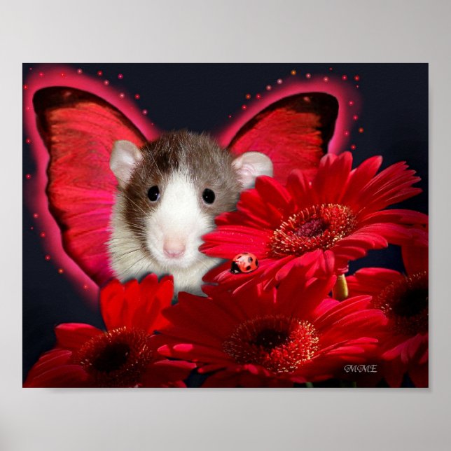 Poster Peek-a-boo, eu te vejo! Pôster (Frente)