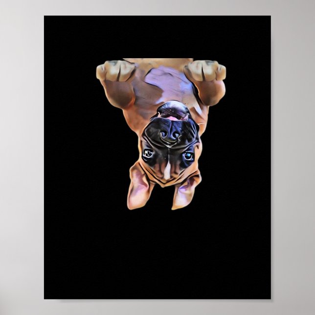 Poster Peekaboo Boxer (Frente)