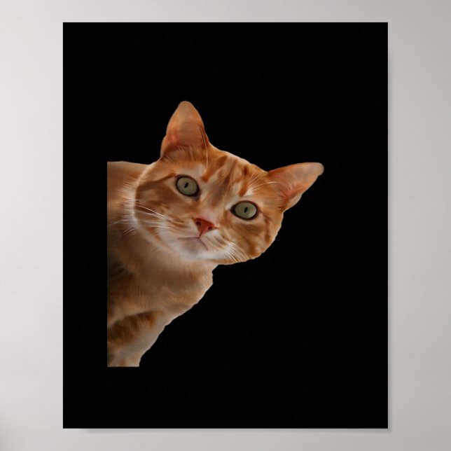 Poster Peekaboo - Pintura (Frente)