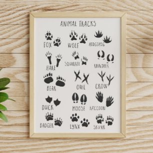 Poster Pegadas de Animais