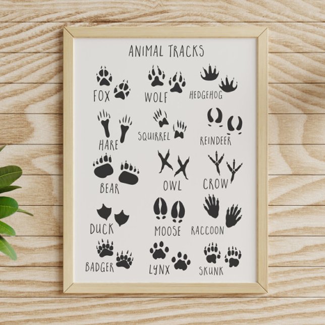 Poster Pegadas de Animais  (Criador carregado)
