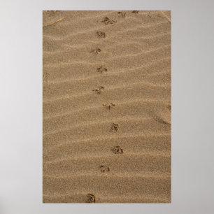 Poster Pegadas na areia