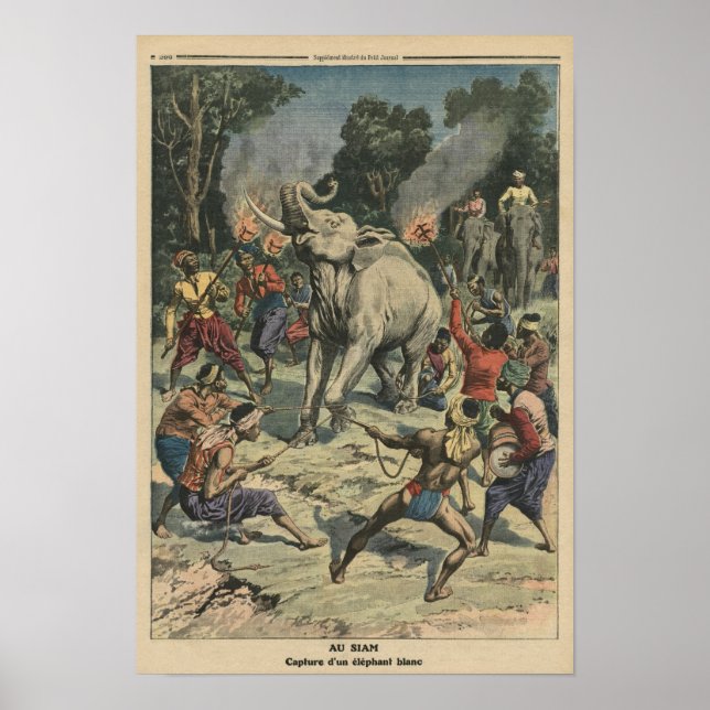 Póster Pegando um elefante branco no Sião (Frente)