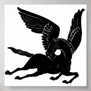 Póster Pegasus