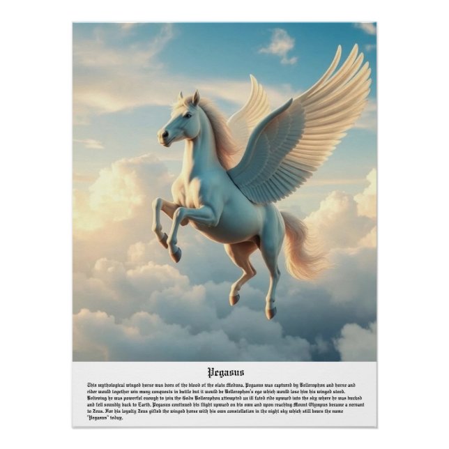 Póster Pegasus (Frente)