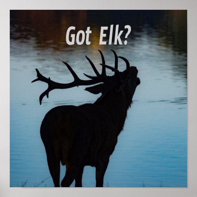 Poster Pegou Elk? Engraçado Hunter Humor (Frente)