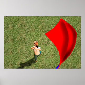 Póster Pegue o vento