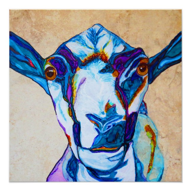 Póster Peguei sua cabra! (Frente)